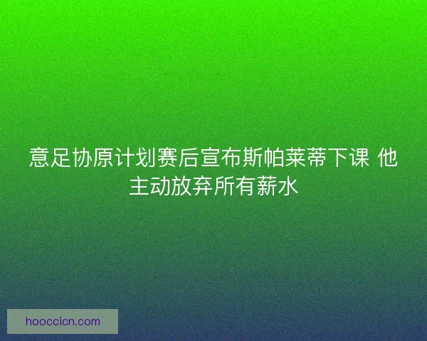 意足协原计划赛后宣布斯帕莱蒂下课 他主动放弃所有薪水
