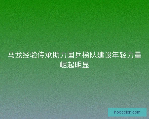 马龙经验传承助力国乒梯队建设年轻力量崛起明显