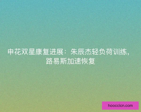 申花双星康复进展：朱辰杰轻负荷训练，路易斯加速恢复