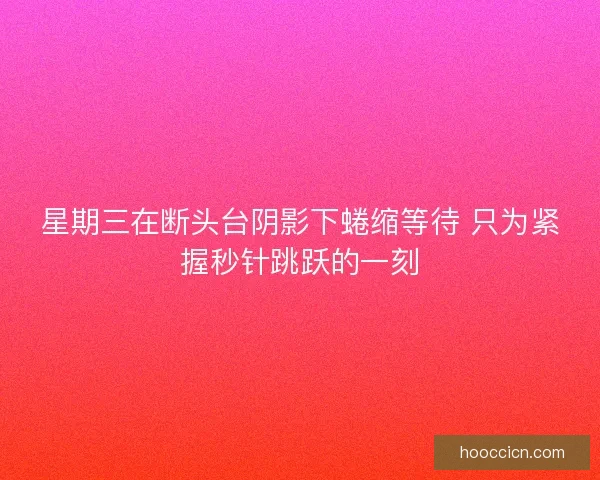 星期三在断头台阴影下蜷缩等待 只为紧握秒针跳跃的一刻